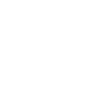 Guru